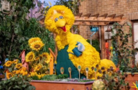 How much do you know about Big Bird?