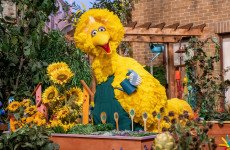 How much do you know about Big Bird?