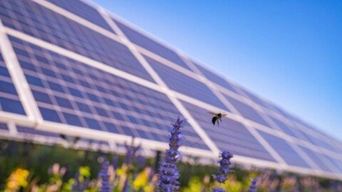 Italy’s Whysol bags financing for 328MW agriPV, energy storage portfolio