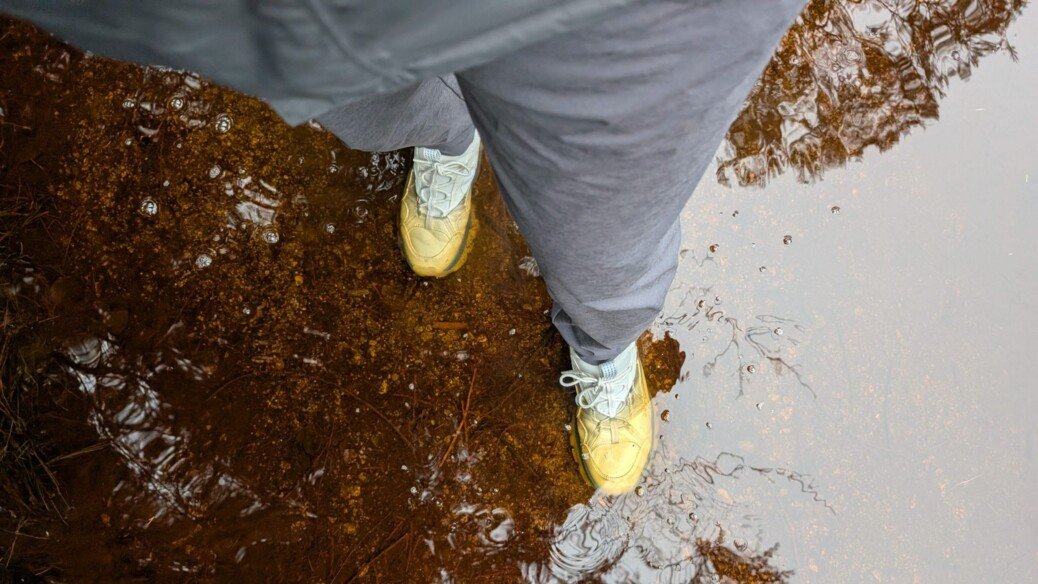 Afternoon front page: Protecting emergency room whistleblowers; AI tool shows lobbyists behind government contracts; and more