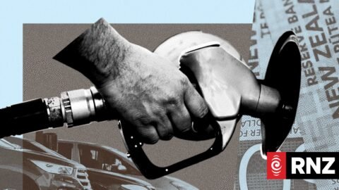 ‘Tipping point’: Kiwis switch to electric cars, solar as fuel prices stay high