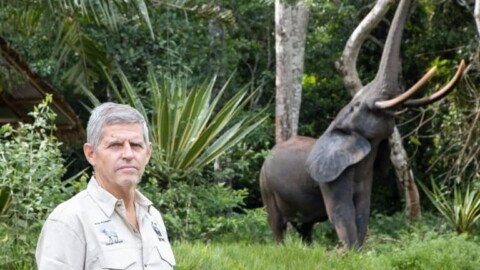 ‘I like impossible missions’: A conservationist’s mission to turn around Salonga’s fate