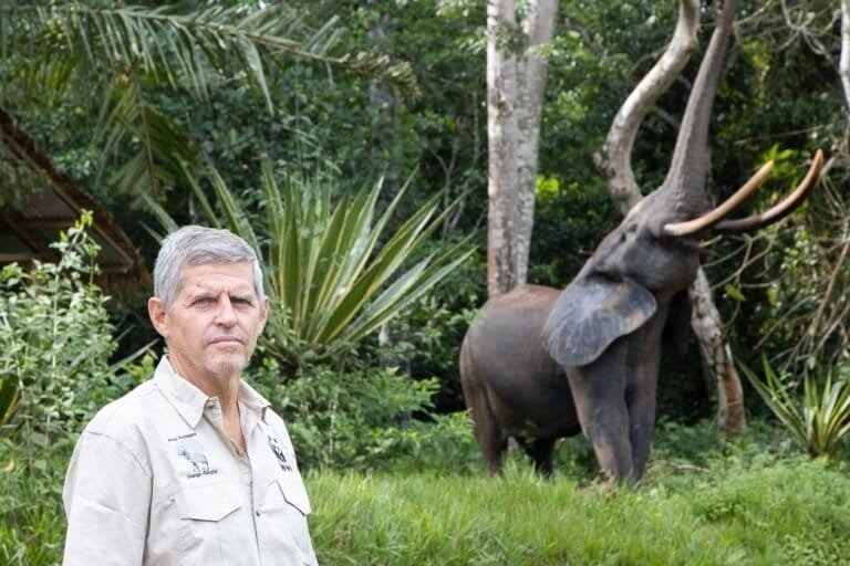 ‘I like impossible missions’: A conservationist’s mission to turn around Salonga’s fate