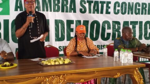 Anambra ADC holds successful state congress, elects Nwosu as chairman