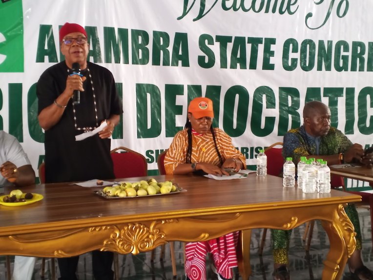 Anambra ADC holds successful state congress, elects Nwosu as chairman