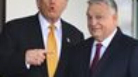 Viktor Orban ousted in landmark defeat amid jibes Trump and MAGA will fall next