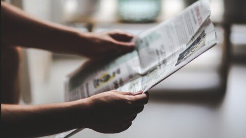 Yellow-footed Rock Wallaby Returns to Mutawintji Ridge | Mirage News