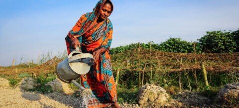 UNDP Warns 30mn People Face Poverty as Iran War Persists