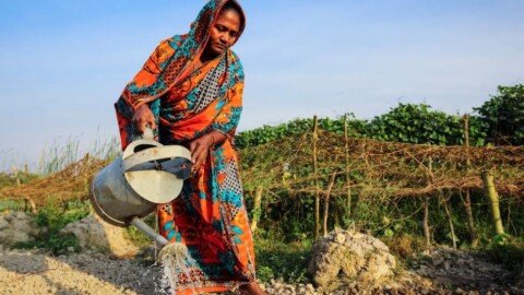 UNDP Warns 30mn People Face Poverty as Iran War Persists