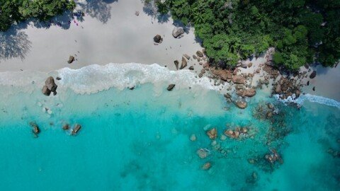 Seychelles’ Blue Bond: Turning Ocean Vision into Action