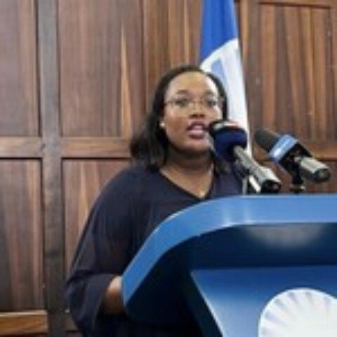 Phala Phala ruling: DA says it commits to uphold accountability even if it makes GNU uncomfortable