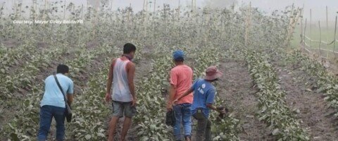 PhilSA: Mayon ash deposit extent for crops about the size of Mandaluyong