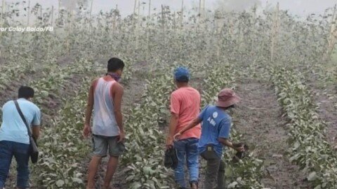 PhilSA: Mayon ash deposit extent for crops about the size of Mandaluyong