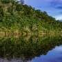 Illegal gold mining causes surges in malaria in the Amazon, and the association is far worse than suspected