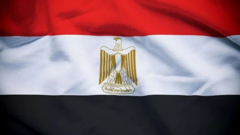 Egypt condemns drone attack near UAE’s Barakah Nuclear Power Plant