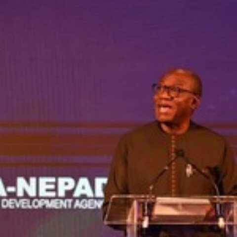 Africa Day Lecture: Leaders call for unity as Afrophobia rises in Africa