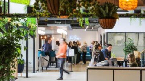 Bee House marks four years of business growth at Milton Park