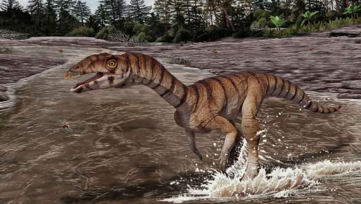 Toothless, Bipedal Crocodile Relative Lived in New Mexico 212 Million Years Ago