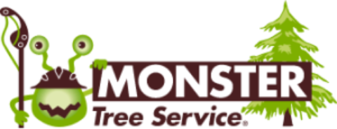 Monster Tree Service Offers Emergency Storm Damage Cleanup in Baytown