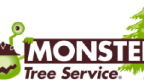 Monster Tree Service Offers Emergency Storm Damage Cleanup in Baytown