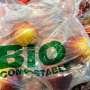 What ‘biodegradable’ packaging really means—and three key questions to ask about it