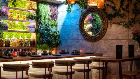 EL JARDÍN Brings a Fresh Culinary Vision to Southwest Florida