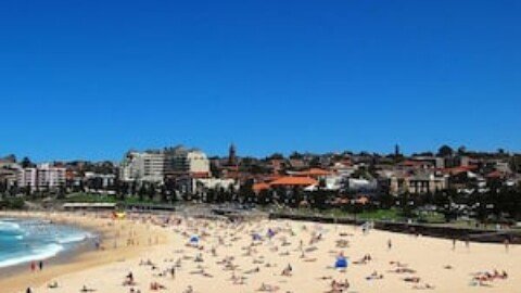 Woman bitten by shark at Coogee Beach airlifted to hospital in critical condition