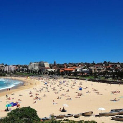 Woman bitten by shark at Coogee Beach airlifted to hospital in critical condition