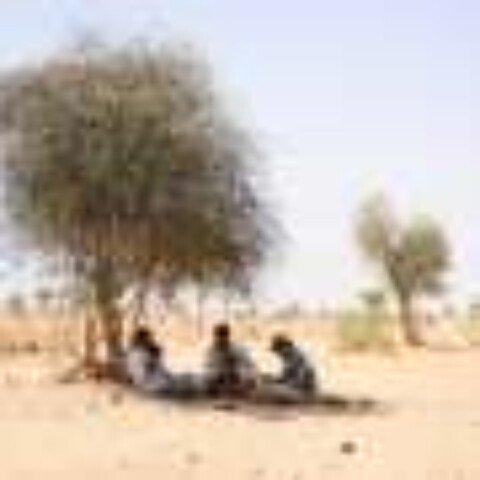 India learns to live with hotter summers