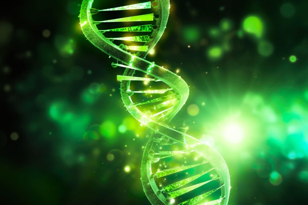 Scientists Discover a Gene That Boosts Youth – but It Comes With a Cost