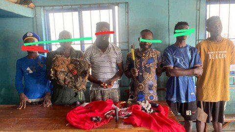 Osun: Police arrest 8 suspected cultists, political thugs