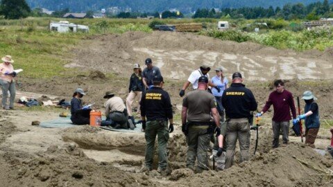 At least 117 dead dogs found in ‘horrific scene’ at California ‘no-kill’ shelter