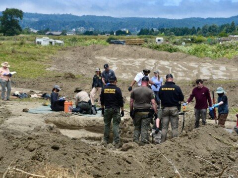 At least 117 dead dogs found in ‘horrific scene’ at California ‘no-kill’ shelter