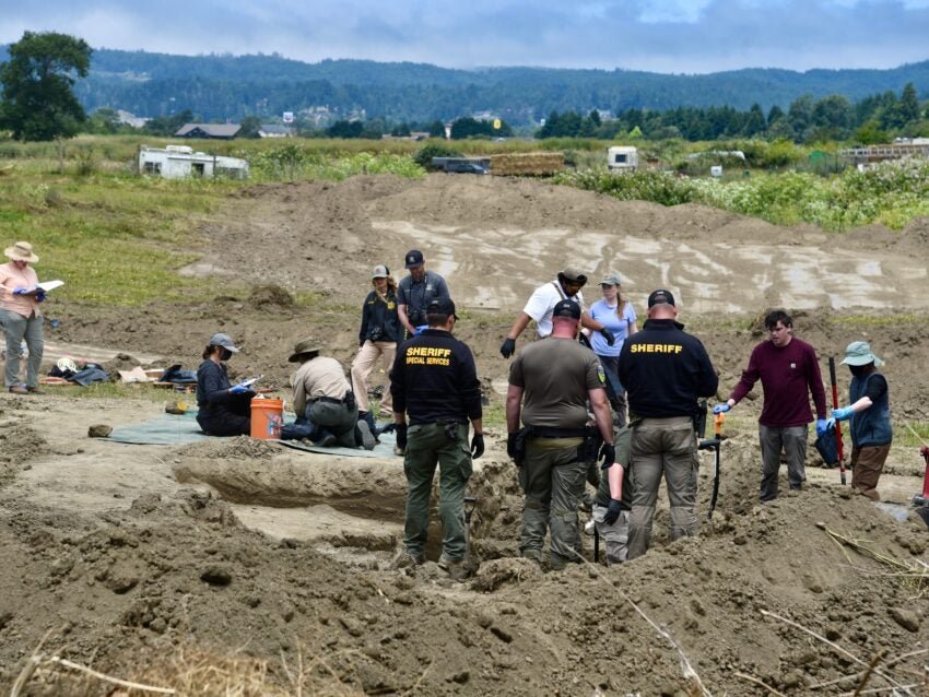 At least 117 dead dogs found in ‘horrific scene’ at California ‘no-kill’ shelter