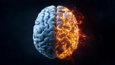 Scientists may have finally found how Alzheimer’s spreads through the brain