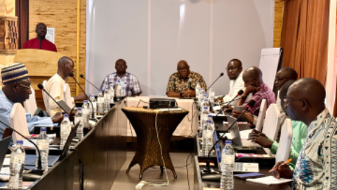 WHO and The Gambia Partner to Strengthen National Health Research Governance