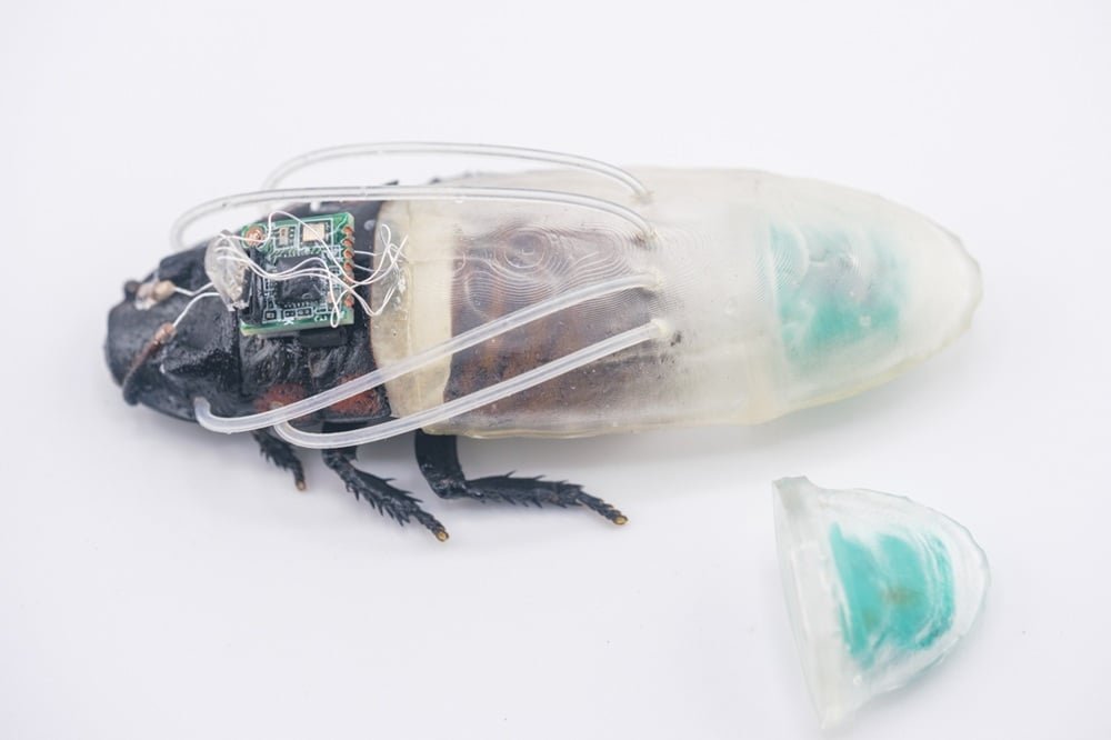 Researchers Built a Scuba Suit for Cyborg Cockroaches