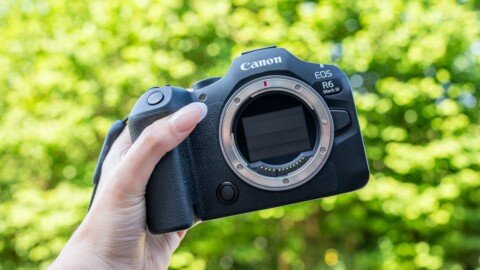 Canon EOS R6 III review: A wildlife wonder