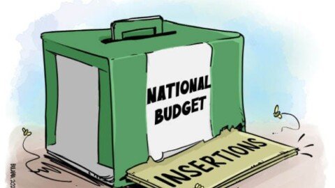 Mandate hijack: How 16 MDAs got N206bn for constituency projects
