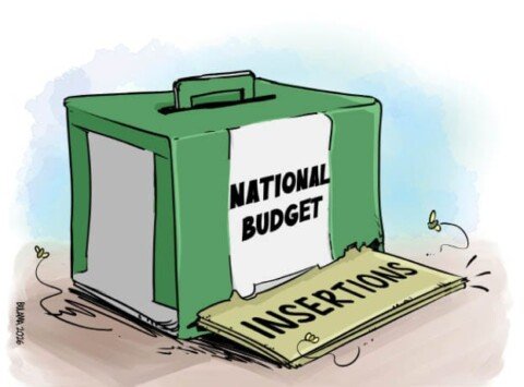 Mandate hijack: How 16 MDAs got N206bn for constituency projects