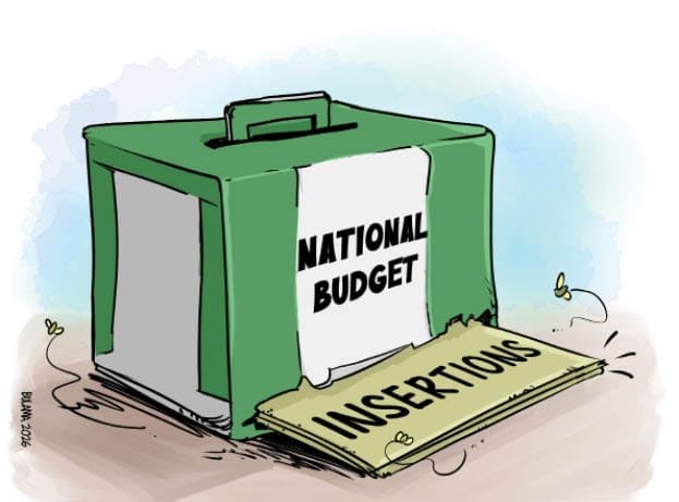 Mandate hijack: How 16 MDAs got N206bn for constituency projects