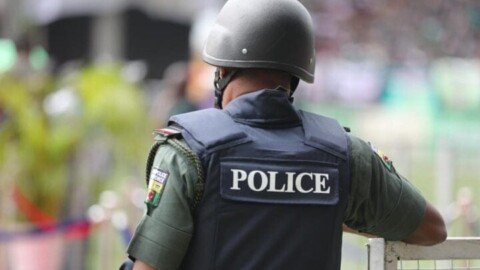 Police arrest bandit with 109 rounds of ammunition in Kano