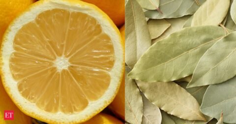 Science behind boiling lemon peels with bay leaves: What studies say about this popular practice and its benefits
