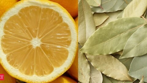 Science behind boiling lemon peels with bay leaves: What studies say about this popular practice and its benefits