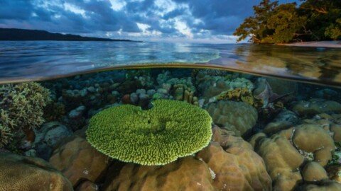 Melanesian nations announce intention to create massive ocean reserve corridor