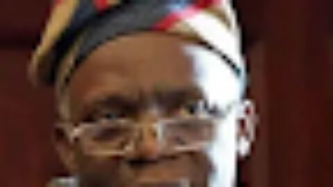 Falana Urges Nigeria, Ghana to Sue South Africa Over Xenophobia