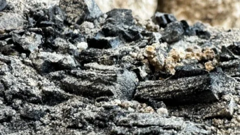 Charred wooden beams from First Temple destruction found in Jerusalem’s City of David