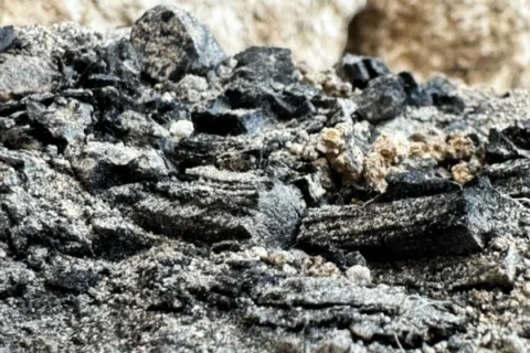 Charred wooden beams from First Temple destruction found in Jerusalem’s City of David