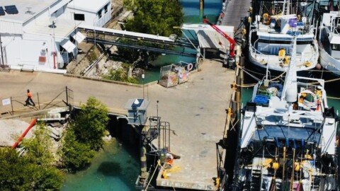 Trawlers sit idle as tiger prawn season gets underway