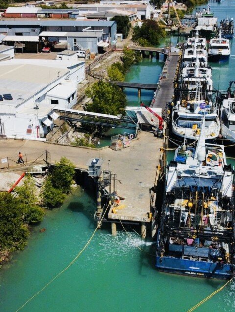 Trawlers sit idle as tiger prawn season gets underway